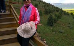 草莓视频在线无限观看